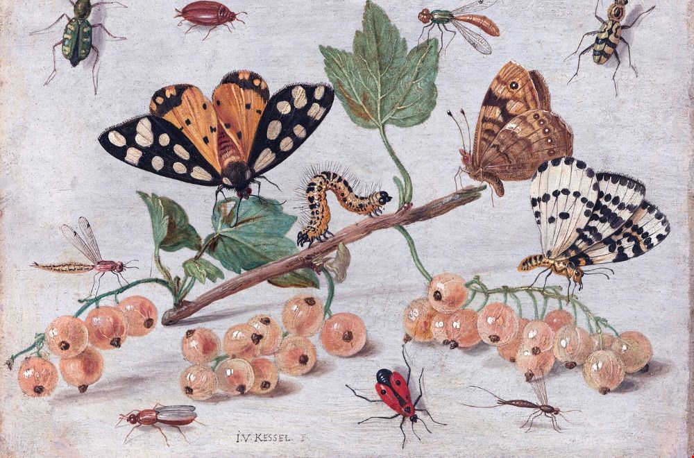 Zomer voor de deur? Insecten buiten houden! Zomer voor de deur? Insecten buiten houden!